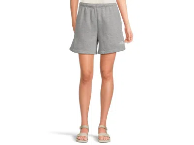 The North Face Evolution Embroidered Shorts In Gray