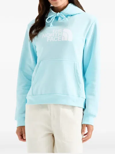The North Face Evolution Half Dome Hoodie In Blue