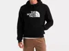 The North Face Evolution Half Dome Pullover Hoodie In Black