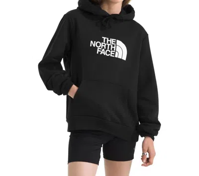 The North Face Evolution Half Dome Hoodie In Black