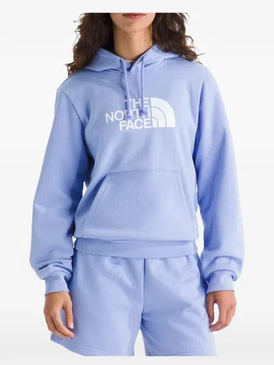 The North Face Evolution Half Dome Hoodie In Purple