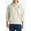 The North Face Evolution Half Dome Mountain Graphic Hoodie In Neutral