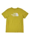 The North Face Evolution Half Dome T-shirt In Brown