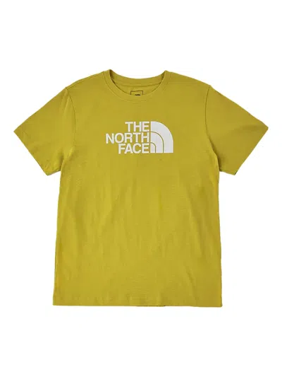 The North Face Evolution Half Dome T-shirt In Brown
