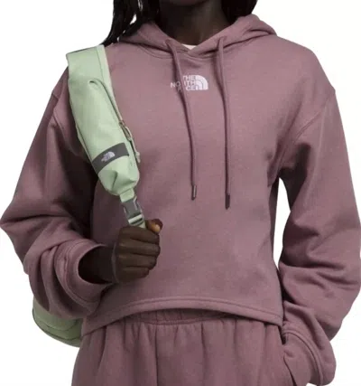The North Face Evolution Hi-lo Hoodie In Fawn Grey In Gray