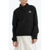 The North Face Evolution Quarter Zip Pullover In Black