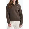 The North Face Evolution Quarter Zip Pullover In Brown