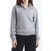 The North Face Evolution Quarter Zip Pullover In Gray