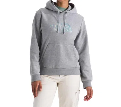 The North Face Evolution Regenerative Ink Half Dome Hoodie In Pale Grey Heather In Gray