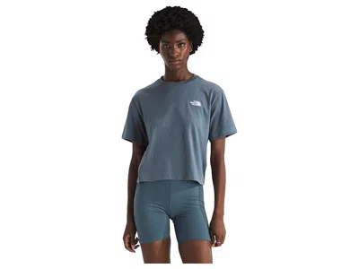 The North Face Evolution Simple Dome Crop Relaxed Short Sleeve T-shirts In Gray
