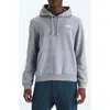 The North Face Evolution Simple Dome Pullover Hoodie In Gray