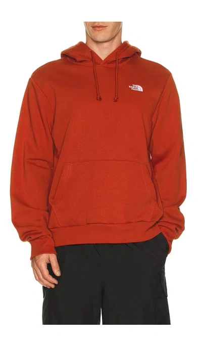 The North Face Evolution Simple Dome Regular Hoodie In Brown