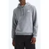 The North Face Evolution Simple Dome Pullover Hoodie In Gray