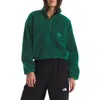 The North Face Extreme Pile 2 Fleece Half Zip Pullover In Green