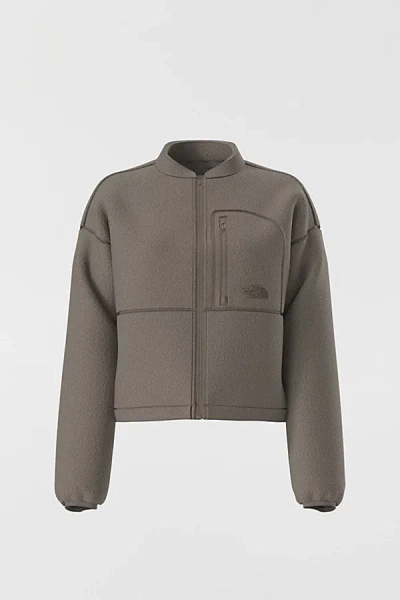 The North Face Extreme Pile Fleece Full Zip Jacket In Taupe, Women's At Urban Outfitters In Metallic