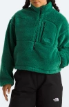The North Face Extreme Pile Pullover In Evergreen/tnf Black