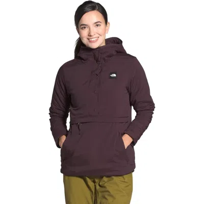 The North Face Fallback Nf0a4r1e6x5 Hoodie Women's Purple Pullover Kfc363 In Brown