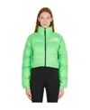 The North Face Feather Down High-neck Jacket In Multi
