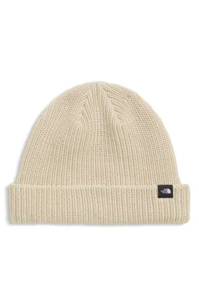 The North Face Fisherman Beanie In Neutral