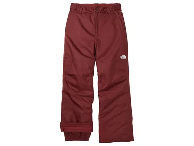 The North Face Freedom Insulated Pant (little Kid/big Kid) Boy's Clothing Sumac : Lg (12 Big Kid), Polyester In Red