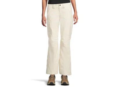The North Face Freedom Insulated Pant In Neutral