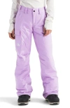 The North Face Freedom Waterproof Insulated Pants In Purple