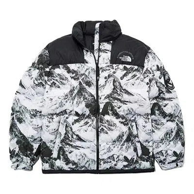 The North Face Fw22 Down Jacket