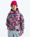 The North Face Kids' Girls 7-20 North Down Hooded Jacket In Multi
