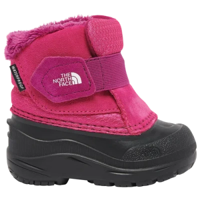 The North Face Kids' Girls  Alpenglow Ii In Pink/black