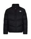 The North Face High Collar Puffer Quilted Jacket In Black