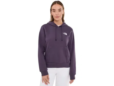 The North Face Glacier Drift Regular Hoodie Women's Sweatshirt Endless Dusk: Xs In Purple