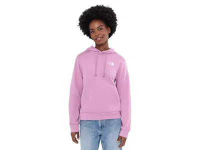The North Face Glacier Drift Regular Hoodie Women's Sweatshirt Hushed Lavender: Xl In Pink