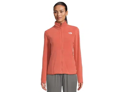 The North Face Glacier Fleece Jacket In Brown