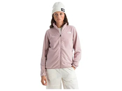 The North Face Glacier Fleece Jacket In Neutral