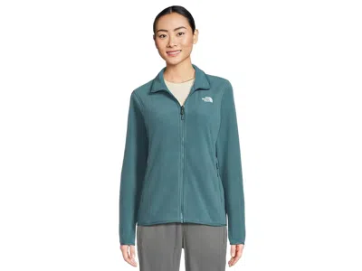 The North Face Glacier Fleece Jacket In Green