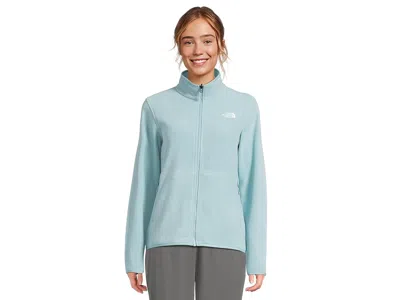 The North Face Glacier Fleece Jacket In Blue