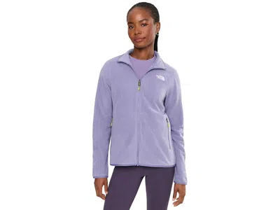 The North Face Glacier Fleece Jacket Women's Coat Grounded Plum: 2xl, Polyester In Purple