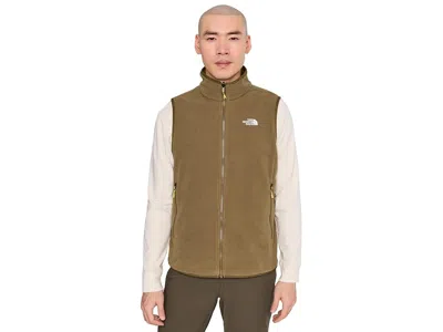 The North Face Glacier Fleece Vest Men's Jacket Caraway Seed: Md, Polyester In Green