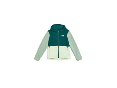The North Face Glacier Full Zip Hoodie (toddler) Kid's Coat Pacific Teal/calcified Lime/slate Moss: 6 Toddler, Poly In Green