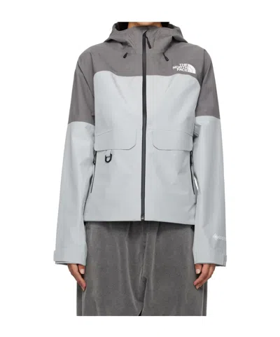 The North Face Gore-tex Hooded Jacket In Gray