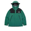 The North Face Gore-tex Mountain 3l Jacket 'green Black'