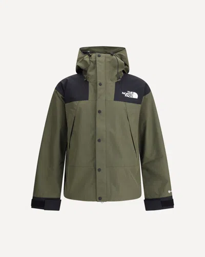 The North Face Gore-tex Mountain Jacket In Green