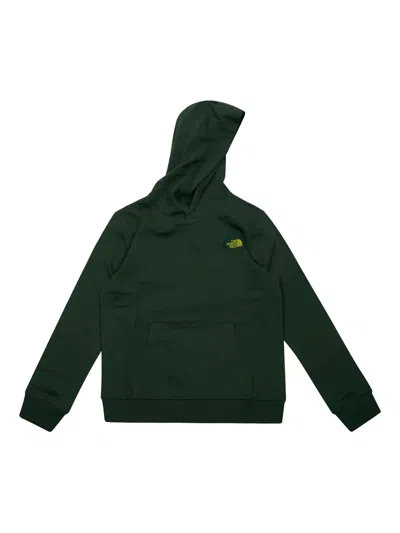 The North Face Kids' Graphic-print Hoodie In Green