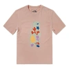 The North Face Graphic T-shirt 'pink' In Brown