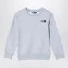 The North Face Grey Plush Cotton Sweatshirt In Grey