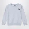 The North Face Grey Plush Cotton Sweatshirt In Gray