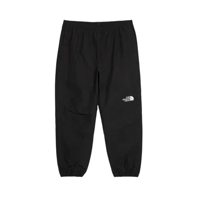 Pre-owned The North Face Gtx Mountain Pant 'tnf Black' | Men's Size L