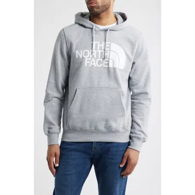The North Face Half Dome Hoodie In Gray