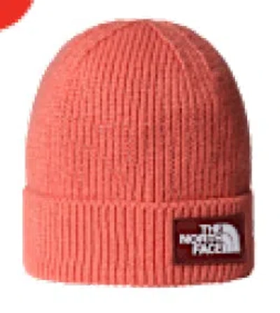 The North Face Hats