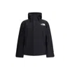 The North Face Gore-tex Mountain Jacket In Black Water-repellent In Black